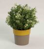 Plastic Yellow Flower Desk Pot