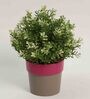 Plastic Pink Flower Desk Pots