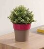 Plastic Pink Flower Desk Pots