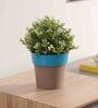 Plastic Blue Flower Desk Pots