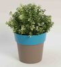Plastic Blue Flower Desk Pots
