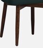 Aryo Fabric Dining Chair In Scratch Resistant Green Colour