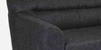 Ashen Fabric 3 Seater Sofa in Charcoal Grey Colour