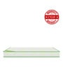 Dual Comfort Asaba Single Bed Mattress With Coir 75 X 42 X 5 Inches