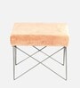 Asansol Stool Set Of 2 In Mist Grey Colour Finish