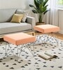 Asansol Stool Set Of 2 In Mist Grey Colour Finish