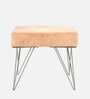 Asansol Stool Set Of 2 In Mist Grey Colour Finish