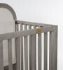 Ash Grey Collection Solid Wood Crib in Grey Colour with Headboard