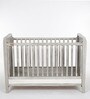 Ash Grey Collection Solid Wood Crib in Grey Colour Cushioned Side Panels