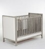 Ash Grey Collection Solid Wood Crib in Grey Colour Cushioned Side Panels