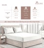 Ash Grey Solid 400 TC Cotton Queen Sized Fitted sheet with 2 Pillow Covers