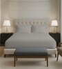 Ash Grey Solid 400 TC Cotton Queen Sized Fitted sheet with 2 Pillow Covers