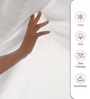 Ash Grey Solid 400 TC Cotton Super King Sized Bedsheet with 4 Pillow Covers