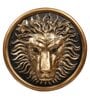 Lion Head Wall Art Showpieces (Black & Gold, 26.7cm)