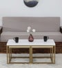 Ashton Metal Nesting Coffee Table Set in White & Gold Finish