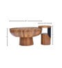 Aska Teakwood Coffee Table in Teak Finish