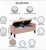 Aspen Fabric Premium Storage Ottoman Ottoman in Pink Colour