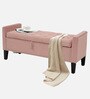 Aspen Fabric Premium Storage Ottoman Ottoman in Pink Colour