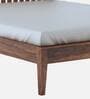 Aspire Sheesham Wood Queen Size Bed in Teak Finish