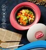 Assorted Zinna Impulse 750ml Plastic & Steel  Casserole