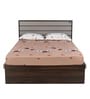 Aster Queen Size Bed with Storage in Brown Colour