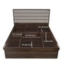 Aster Queen Size Bed with Storage in Brown Colour