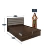 Aster Queen Size Bed with Storage in Brown Colour