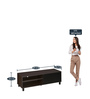 Astero TV Console in Modi Wenge Finish