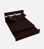 Astra Queen Size Bed in Cola Rain Colour