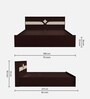 Astra Queen Size Bed in Cola Rain Colour
