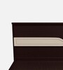 Astra Queen Size Bed in Cola Rain Colour