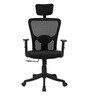 Astro Breathable Mesh Ergonomic Chair in Black Colour with Headrest