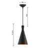Astron Black Metal Hanging Light