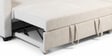 Athlone Sofa Cum Bed With Storage in Beige Colour Athlone Sofa Cum Bed With Storage in Beige Colour
