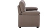 Atlas Fabric 2 Seater Sofa In Brown Colour