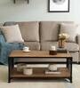 Atencio Metal Coffee Table In Natural Finish