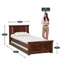 Kumud Solid Wood Trundle Bed In Honey Oak Finish