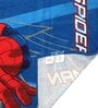 Marvel Avengers & Blue Spiderman Kids 350 GSM Bath Towel  (Set of 2)