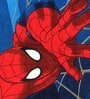 Marvel Blue&Red Spiderman Bath Towel  (Set of 2)