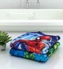 Marvel The Hulk & Spiderman Kids Multicolor 350 GSM Cotton  Towels (Set Of 2)