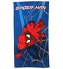 Marvel The Hulk & Spiderman Kids 350 GSM Bath Towel (Set of 2)