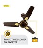 Atomberg Efficio+ 900mm BLDC motor Energy Saving Anti-Dust Ceiling Fan with Remote Control | Brown