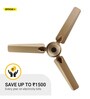 Atomberg Efficio Plus BLDC Motor Ceiling Fan with Remote, 1200 mm, Ivory