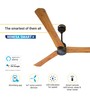 Atomberg Renesa Smart + 1200mm 28W BLDC 5 Star Rated High Speed Ceiling Fan with Remote(Oak Wood)