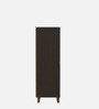 Attic Vertico Shoe Cabinet In Wenge Finish