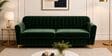 Augusta (3+1+1) Seater Sofa In Green Color