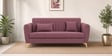 Aura 3 Seater Sofa In Onion Pink Color