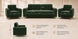 Austin (3+1+1) Sofa Set Sofa In Green Color