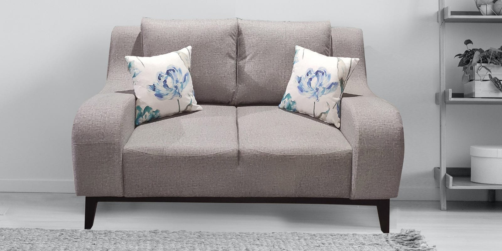 Austin 2 Seater Sofa in Beige Colour