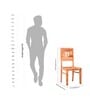 Audi Sheesham Wood Dining Chair with Solid Wood Legs Natural Wood Grain Finish